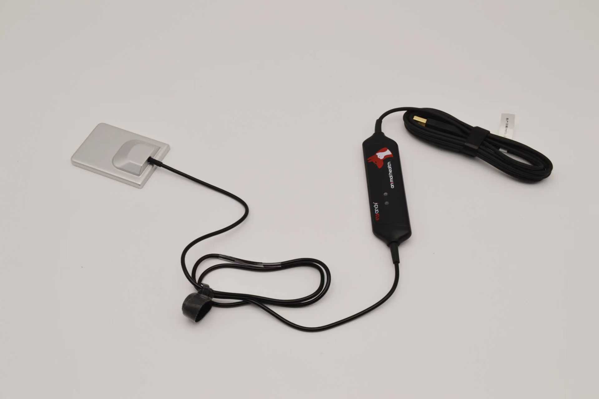 Veterinär-Dentaldetektor Größe 4 – Modell VDR0507-CA1 Vet – Bild 2