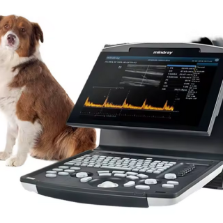 Mindray DP-10 VET Ultraschallsystem